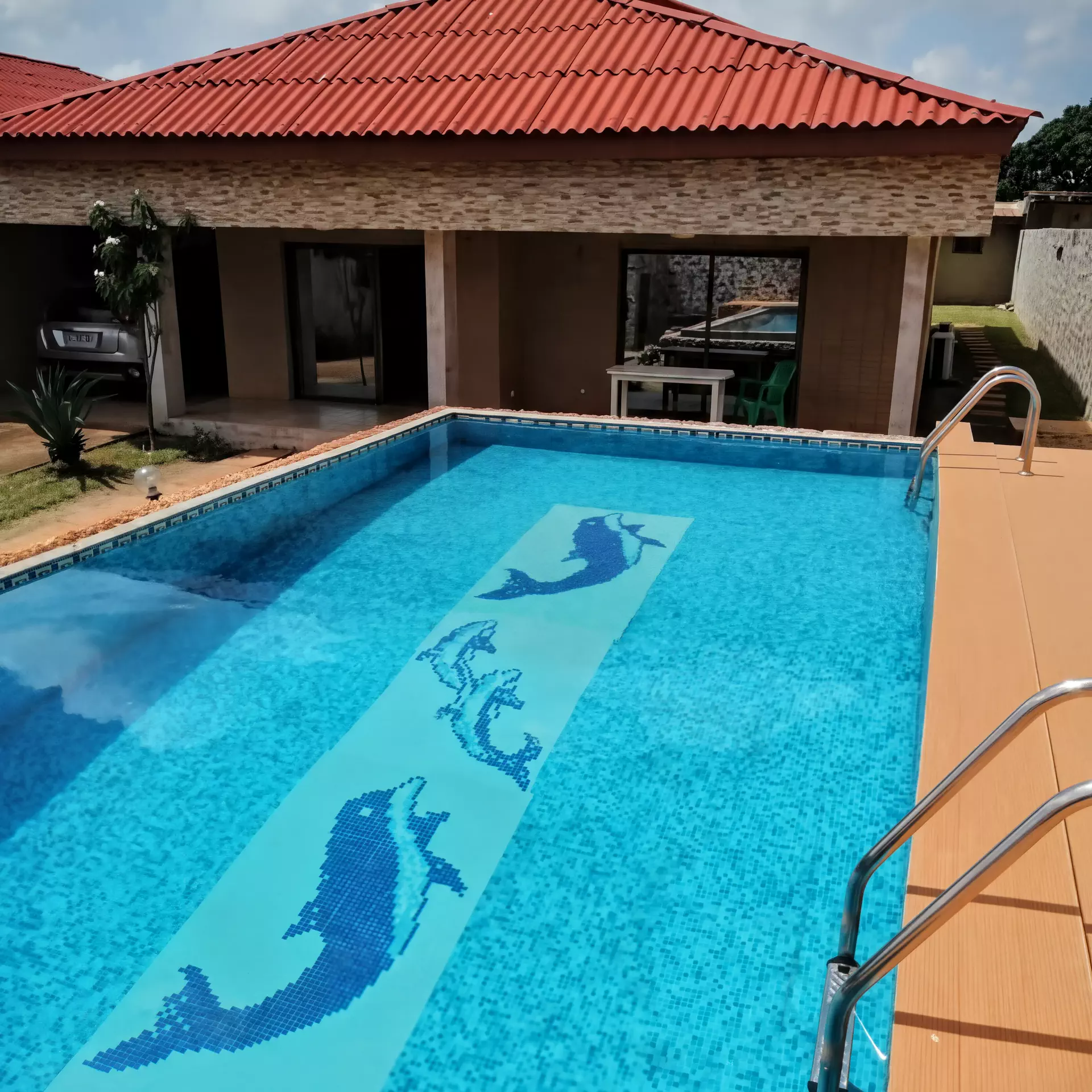 Piscine avec décoration de dauphins